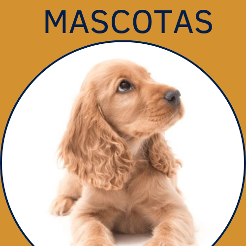 MASCOTAS